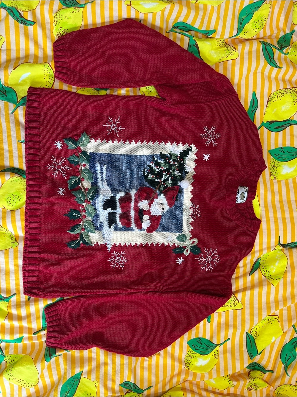 VINTAGE Tiara Red Knit Sweater with Crown Label